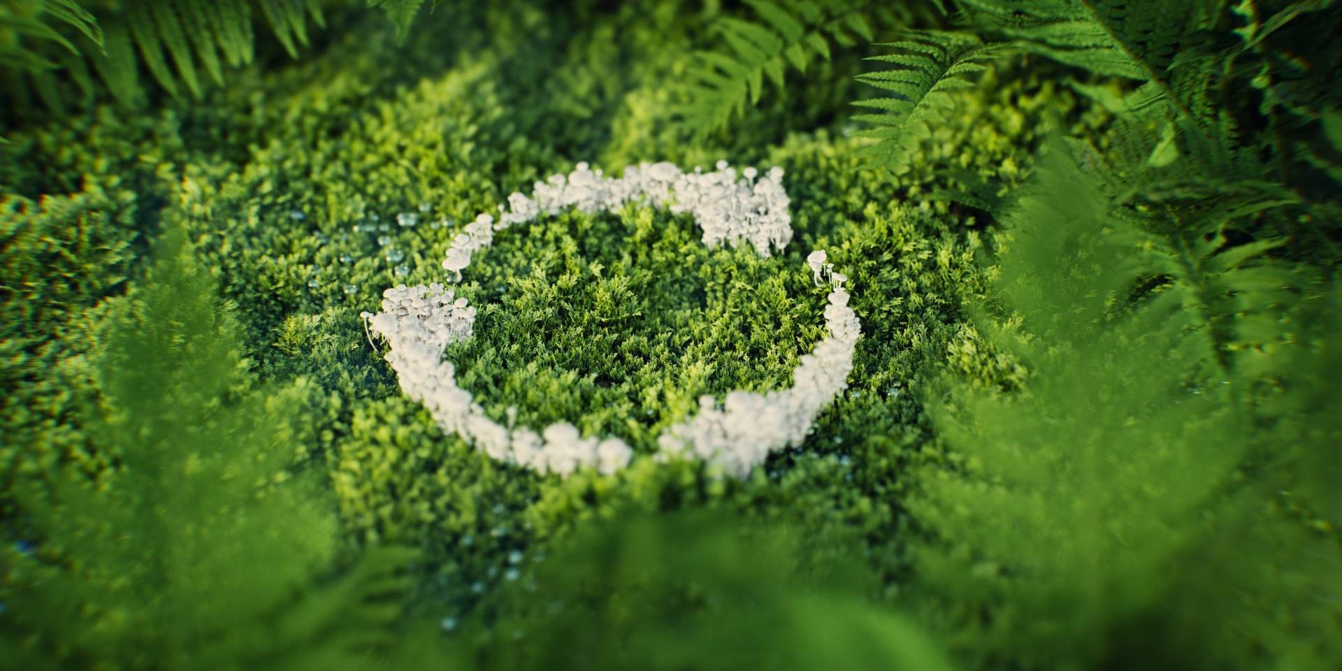 RigeneRare hub del Gruppo Iren