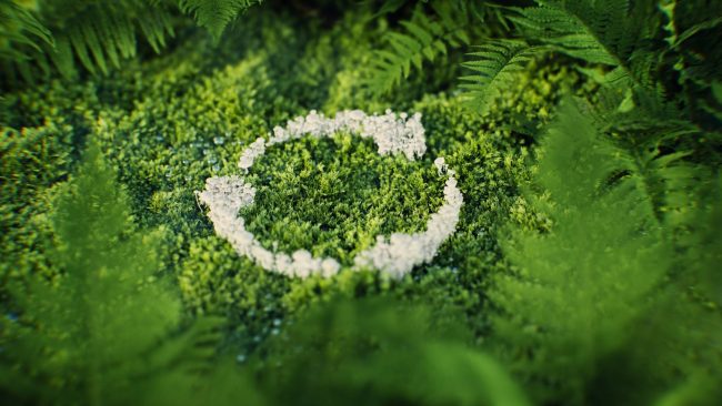 RigeneRare hub del Gruppo Iren